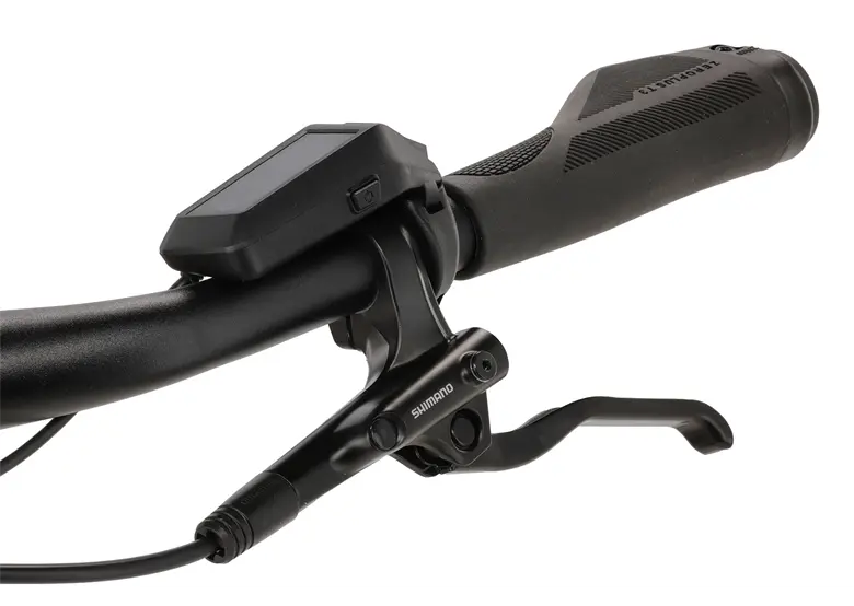 Rower elektryczny R-RAYMON Metmo Nexus (1x8) - obrazek 12