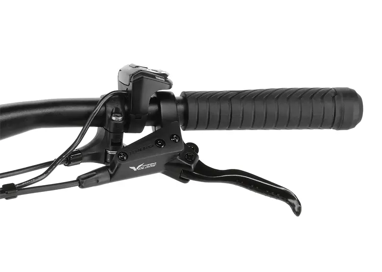 Rower elektryczny R-RAYMON Crossray Pro - obrazek 11